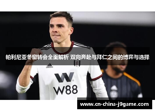 帕利尼亚冬窗转会全面解析 双向奔赴与拜仁之间的博弈与选择 帕利尼亚冬窗转会全面解析 双向奔赴与拜仁之间的博弈与选择