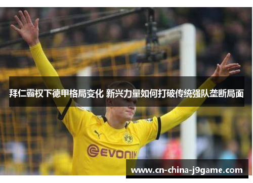 拜仁霸权下德甲格局变化 新兴力量如何打破传统强队垄断局面 拜仁霸权下德甲格局变化 新兴力量如何打破传统强队垄断局面