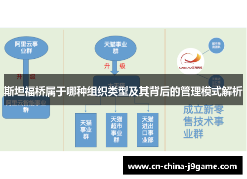斯坦福桥属于哪种组织类型及其背后的管理模式解析 斯坦福桥属于哪种组织类型及其背后的管理模式解析
