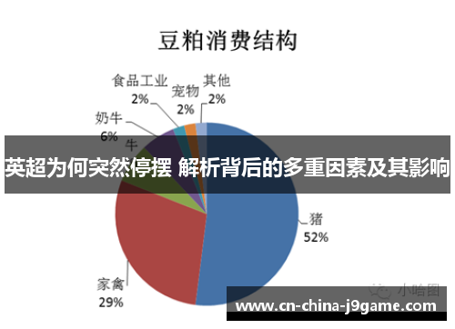 英超为何突然停摆 解析背后的多重因素及其影响