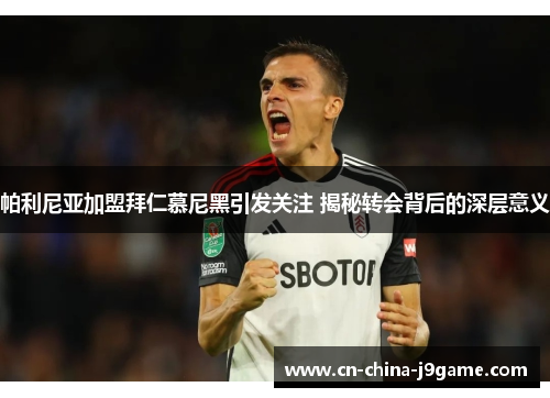 帕利尼亚加盟拜仁慕尼黑引发关注 揭秘转会背后的深层意义