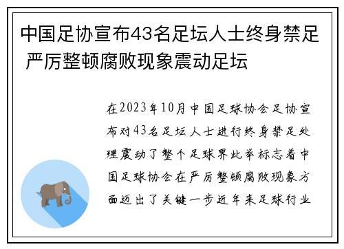 中国足协宣布43名足坛人士终身禁足 严厉整顿腐败现象震动足坛