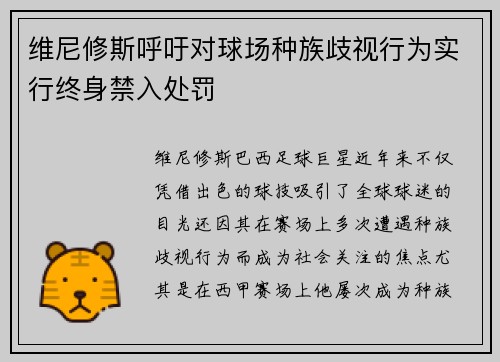 维尼修斯呼吁对球场种族歧视行为实行终身禁入处罚 维尼修斯呼吁对球场种族歧视行为实行终身禁入处罚