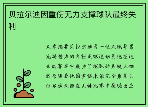 贝拉尔迪因重伤无力支撑球队最终失利 贝拉尔迪因重伤无力支撑球队最终失利